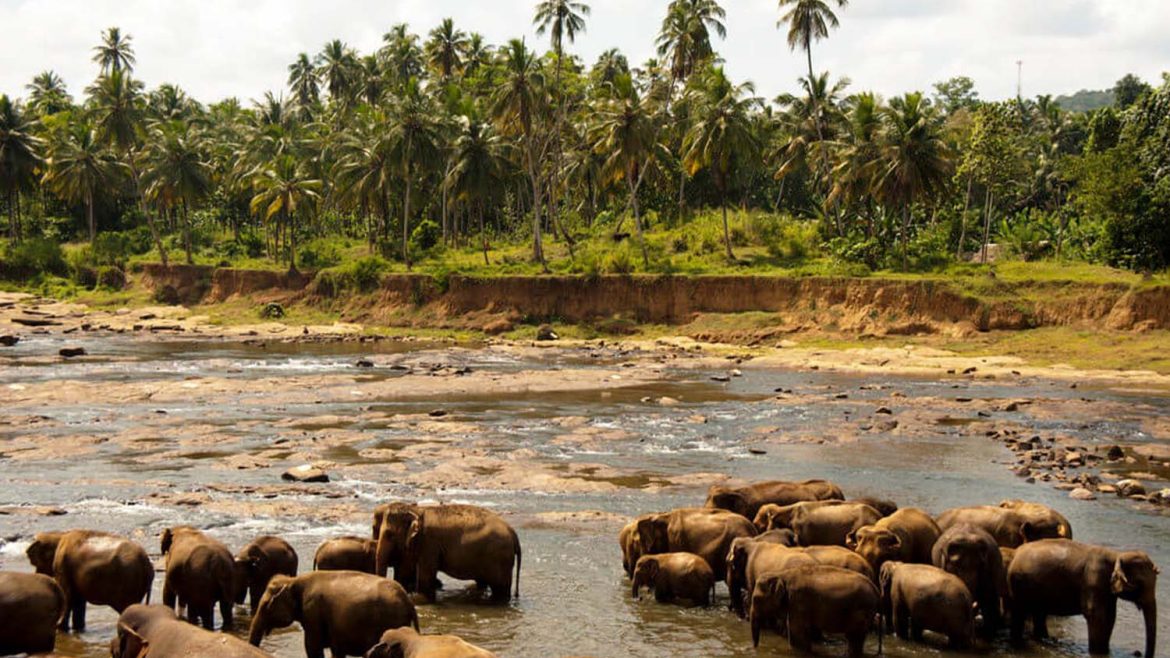 Ratnapura/ Udawalawe